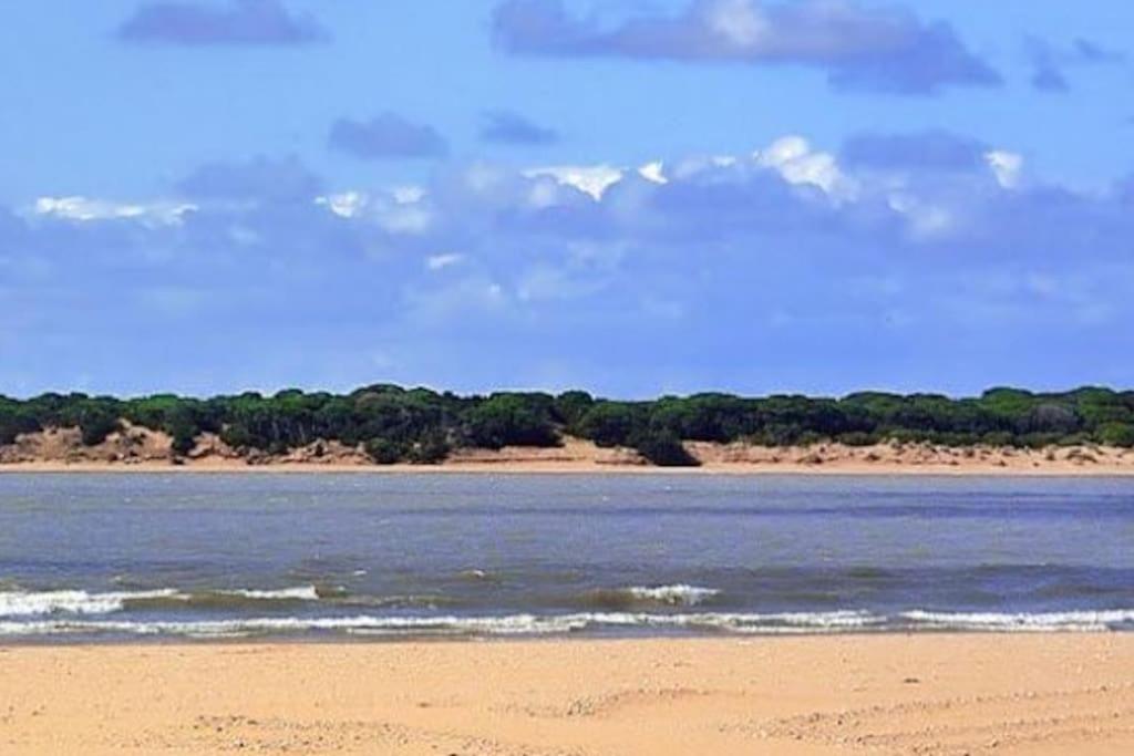 Apartmán Sanlucar-Centro Sanlúcar de Barrameda Exteriér fotografie